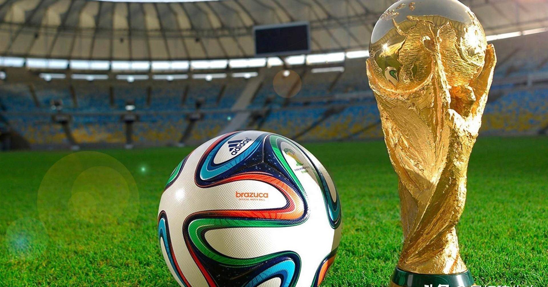 王楚钦在这 王楚钦在这