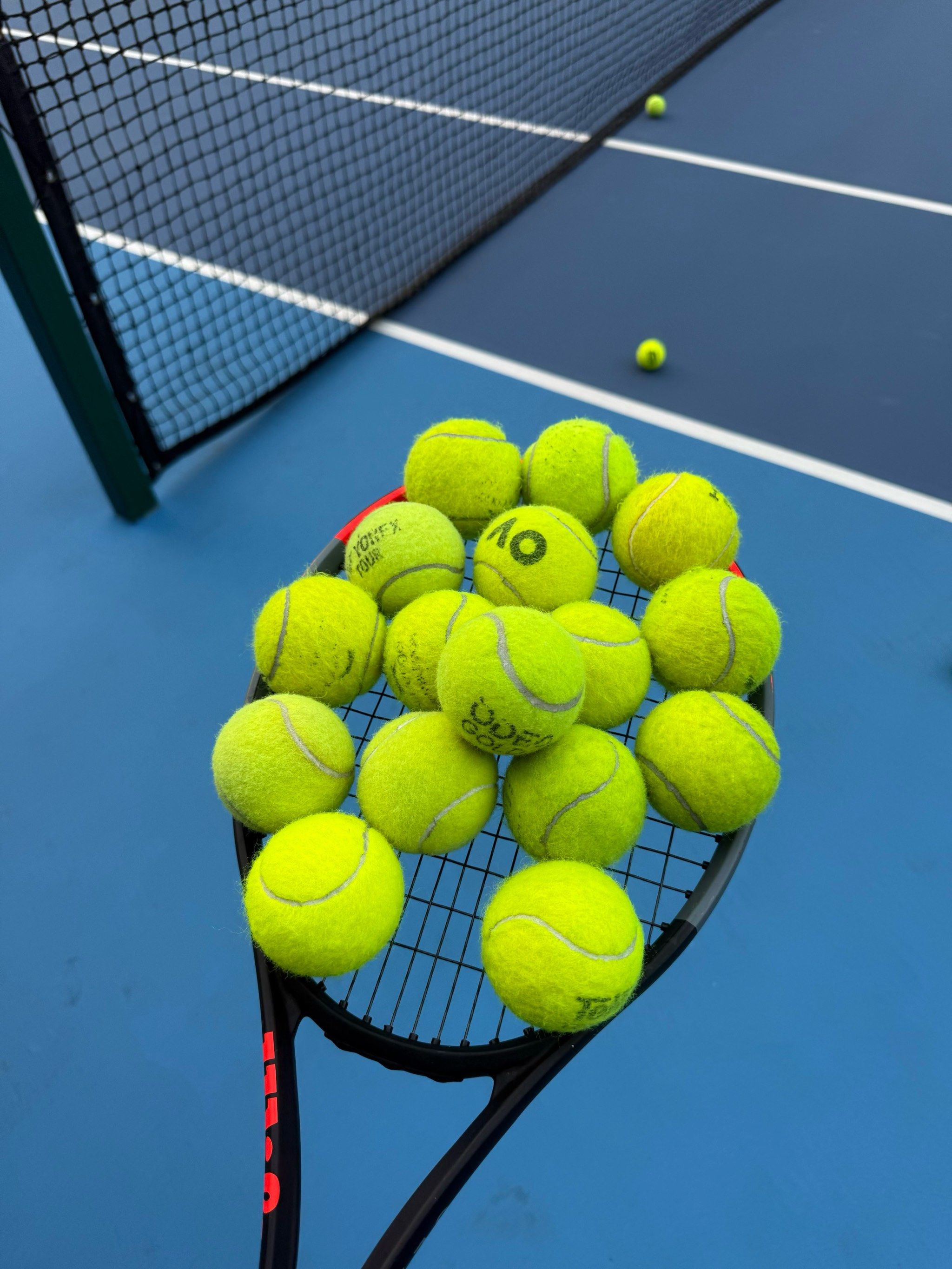 利奠定了基 利奠定了基